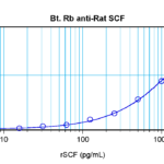 To detect rat SCF by sandwich ELISA (using 100 ul/well antibody solution) a concentration of 0.25 – 1.0 ug/ml of this antibody is required. This biotinylated polyclonal antibody, in conjunction with ProSci’s Polyclonal Anti-Rat SCF (38-251) as a capture antibody, allows the detection of at least 0.2 – 0.4 ng/well of recombinant rat SCF.