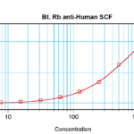To detect hSCF by sandwich ELISA (using 100 ul/well antibody solution) a concentration of 0.25 – 1.0 ug/ml of this antibody is required. This biotinylated polyclonal antibody, in conjunction with ProSci’s Polyclonal Anti-Human SCF (XP-5264) as a capture antibody, allows the detection of at least 0.2 – 0.4 ng/well of recombinant hSCF.