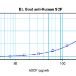 To detect hSCF by sandwich ELISA (using 100 ul/well antibody solution) a concentration of 0.25 – 1.0 ug/ml of this antibody is required. This biotinylated polyclonal antibody, in conjunction with ProSci’s Polyclonal Anti-Human SCF (XP-5265) as a capture antibody, allows the detection of at least 0.2 – 0.4 ng/well of recombinant hSCF.