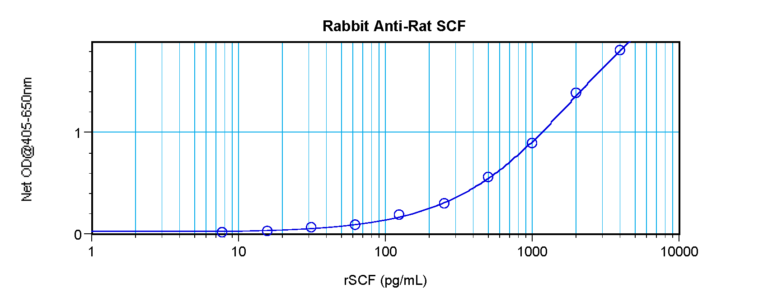 SCF Antibody