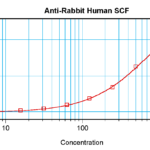 To detect hSCF by sandwich ELISA (using 100 ul/well antibody solution) a concentration of 0.5 - 2.0 ug/ml of this antibody is required. This antigen affinity purified antibody, in conjunction with ProSci’s Biotinylated Anti-Human SCF (XP-5264Bt) as a detection antibody, allows the detection of at least 0.2 - 0.4 ng/well of recombinant hSCF.