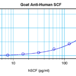 To detect hSCF by sandwich ELISA (using 100 ul/well antibody solution) a concentration of 0.5 - 2.0 ug/ml of this antibody is required. This antigen affinity purified antibody, in conjunction with ProSci’s Biotinylated Anti-Human SCF (XP-5265Bt) as a detection antibody, allows the detection of at least 0.2 - 0.4 ng/well of recombinant hSCF.