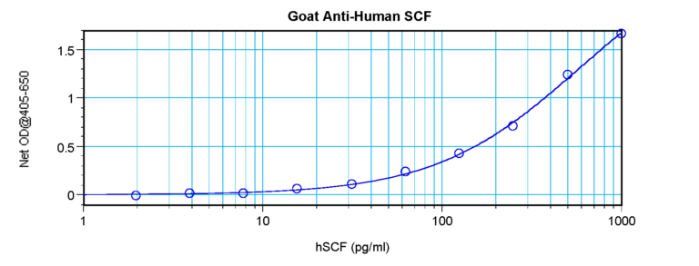 SCF Antibody