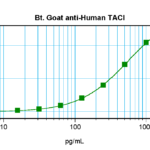To detect hTACI by sandwich ELISA (using 100 ul/well antibody solution) a concentration of 0.25 – 1.0 ug/ml of this antibody is required. This biotinylated polyclonal antibody, in conjunction with ProSci’s Polyclonal Anti-Human TACI (XP-5278) as a capture antibody, allows the detection of at least 0.2 – 0.4 ng/well of recombinant hTACI.