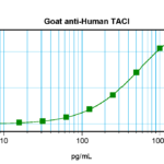 To detect hTACI by sandwich ELISA (using 100 ul/well antibody solution) a concentration of 0.5 - 2.0 ug/ml of this antibody is required. This antigen affinity purified antibody, in conjunction with ProSci’s Biotinylated Anti-Human TACI (XP-5278Bt) as a detection antibody, allows the detection of at least 0.2 - 0.4 ng/well of recombinant hTACI.