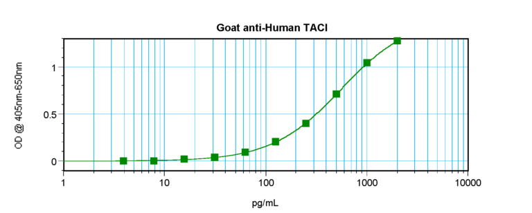 TACI Antibody