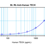 To detect hTECK by sandwich ELISA (using 100 ul/well antibody solution) a concentration of 0.25 – 1.0 ug/ml of this antibody is required. This biotinylated polyclonal antibody, in conjunction with ProSci’s Polyclonal Anti-Human TECK (XP-5280) as a capture antibody, allows the detection of at least 0.2 – 0.4 ng/well of recombinant hTECK.