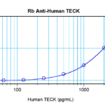 To detect hTECK by sandwich ELISA (using 100 ul/well antibody solution) a concentration of 0.5 - 2.0 ug/ml of this antibody is required. This antigen affinity purified antibody, in conjunction with ProSci’s Biotinylated Anti-Human TECK (XP-5280Bt) as a detection antibody, allows the detection of at least 0.2 - 0.4 ng/well of recombinant hTECK.