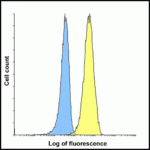Flow cytometry analysis of TIGIT over expressing HEK293 cells using TIGIT antibody at 1 μg/ml. Blue: untransfected HEK293 cells. Yellow: TIGIT over expressing HEK293 cells.