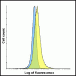 Flow cytometry analysis of TIGIT overexpressing HEK293 cells using TIGIT single domain antibody and control 1H4 single domain antibody at 0.05 μg/ml.  Blue:  Untransfected HEK293 cells.  Yellow:  TIGIT overexpressing HEK293 cells.