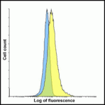 Flow cytometry analysis of TIGIT overexpressing HEK293 cells using TIGIT single domain antibody and control 1H4 single domain antibody at 0.05 μg/ml.  Blue:  Untransfected HEK293 cells.  Yellow:  TIGIT overexpressing HEK293 cells.
