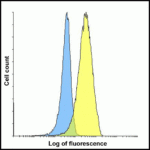 Flow cytometry analysis of TIGIT overexpressing HEK293 cells using TIGIT single domain antibody and control 1H4 single domain antibody at 0.05 μg/ml.  Blue:  Untransfected HEK293 cells.  Yellow:  TIGIT overexpressing HEK293 cells.