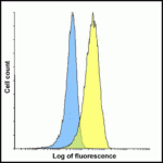 Flow cytometry analysis of TIGIT overexpressing HEK293 cells using TIGIT single domain antibody and control 1H4 single domain antibody at 0.05 μg/ml.  Blue:  Untransfected HEK293 cells.  Yellow:  TIGIT overexpressing HEK293 cells.