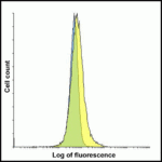 Flow cytometry analysis of TIGIT overexpressing HEK293 cells using TIGIT single domain antibody and control 1H4 single domain antibody at 0.05 μg/ml.  Blue:  Untransfected HEK293 cells.  Yellow:  TIGIT overexpressing HEK293 cells.