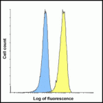Flow cytometry analysis of TIGIT over expressing HEK293 cells using TIGIT antibody at 1 μg/ml. Blue: untransfected HEK293 cells. Yellow: TIGIT over expressing HEK293 cells.