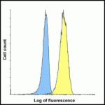 Flow cytometry analysis of TIGIT over expressing HEK293 cells using TIGIT antibody at 1 μg/ml. Blue: untransfected HEK293 cells. Yellow: TIGIT over expressing HEK293 cells.