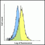 Flow cytometry analysis of TIM-3 overexpressing HEK293 cells using TIM-3 antibody and control mouse IgG antibody at 0.1 μg/ml. Blue: Untransfected HEK293 cells. Yellow: TIM-3 overexpressing HEK293 cells.