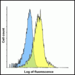 Flow cytometry analysis of TIM-3 overexpressing HEK293 cells using TIM-3 antibody and control mouse IgG antibody at 0.1 μg/ml. Blue: Untransfected HEK293 cells. Yellow: TIM-3 overexpressing HEK293 cells.