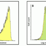 Flow cytometry analysis of TMIGD2 in over expressing HEK293 cells using RF16121 and (B) mouse IgG at 10 μg/ml.  Blue:  untransfected HEK293 cells.  Yellow: TMIGD2 over expressing HEK293 cells.