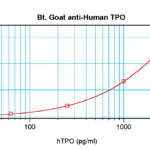 To detect hTPO by sandwich ELISA (using 100 ul/well antibody solution) a concentration of 0.25 – 1.0 ug/ml of this antibody is required. This biotinylated polyclonal antibody, in conjunction with ProSci’s Polyclonal Anti-Human TPO (XP-5288) as a capture antibody, allows the detection of at least 0.2 – 0.4 ng/well of recombinant hTPO.