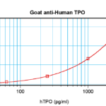 To detect hTPO by sandwich ELISA (using 100 ul/well antibody solution) a concentration of 0.5 - 2.0 ug/ml of this antibody is required. This antigen affinity purified antibody, in conjunction with ProSci’s Biotinylated Anti-Human TPO (XP-5288Bt) as a detection antibody, allows the detection of at least 0.2 - 0.4 ng/well of recombinant hTPO.