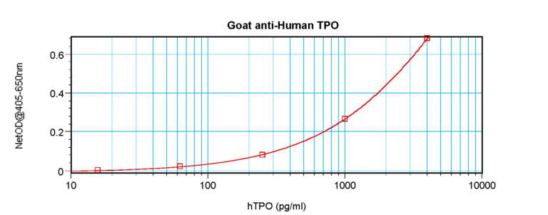 TPO Antibody