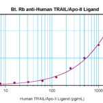 To detect Human sTRAIL/Apo2L by sandwich ELISA (using 100 ul/well antibody solution) a concentration of 0.25 – 1.0 ug/ml of this antibody is required. This biotinylated polyclonal antibody, in conjunction with ProSci’s Polyclonal Anti-Human sTRAIL/Apo2L (XP-5289) as a capture antibody, allows the detection of at least 0.2 – 0.4 ng/well of recombinant Human sTRAIL/Apo2L.