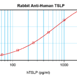 To detect hTSLP by sandwich ELISA (using 100 ul/well antibody solution) a concentration of 0.5 - 2.0 ug/ml of this antibody is required. This antigen affinity purified antibody, in conjunction with ProSci’s Biotinylated Anti-Human TSLP (38-188) as a detection antibody, allows the detection of at least 0.2 - 0.4 ng/well of recombinant hTSLP.