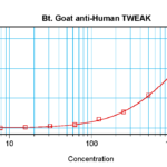 To detect hTWEAK by sandwich ELISA (using 100 ul/well antibody solution) a concentration of 0.25 – 1.0 ug/ml of this antibody is required. This biotinylated polyclonal antibody, in conjunction with ProSci’s Polyclonal Anti-Human TWEAK (XP-5290) as a capture antibody, allows the detection of at least 0.2 – 0.4 ng/well of recombinant hTWEAK.