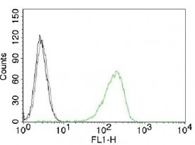 Transferrin Receptor Antibody [66IG10]