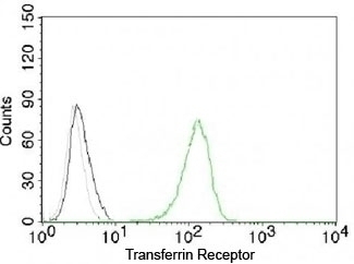 Transferrin Receptor Antibody [CDLA71]