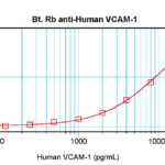 To detect hVCAM-1 by sandwich ELISA (using 100 ul/well antibody solution) a concentration of 0.25 – 1.0 ug/ml of this antibody is required. This biotinylated polyclonal antibody, in conjunction with ProSci’s Polyclonal Anti-Human VCAM-1 (38-270) as a capture antibody, allows the detection of at least 0.2 – 0.4 ng/well of recombinant hVCAM-1.