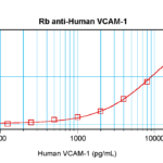 To detect hVCAM-1 by sandwich ELISA (using 100ul/well antibody solution) a concentration of 0.5 - 2.0 ug/ml of this antibody is required. This antigen affinity purified antibody, in conjunction with ProSci’s Biotinylated Anti-Human VCAM-1 (38-281) as a detection antibody, allows the detection of at least 0.2 - 0.4 ng/well of recombinant hVCAM-1.