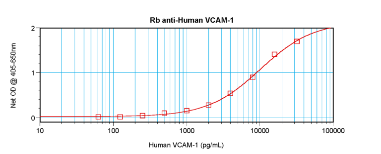 VCAM-1 Antibody