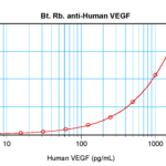 To detect hVEGF by sandwich ELISA (using 100 ul/well antibody solution) a concentration of 0.25 – 1.0 ug/ml of this antibody is required. This biotinylated polyclonal antibody, in conjunction with ProSci’s Polyclonal Anti-Human VEGF (XP-5291) as a capture antibody, allows the detection of at least 0.2 – 0.4 ng/well of recombinant hVEGF.