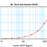 To detect hVEGF by sandwich ELISA (using 100 ul/well antibody solution) a concentration of 0.25 – 1.0 ug/ml of this antibody is required. This biotinylated polyclonal antibody, in conjunction with ProSci’s Polyclonal Anti-Human VEGF (XP-5292) as a capture antibody, allows the detection of at least 0.2 – 0.4 ng/well of recombinant hVEGF.