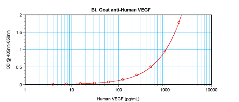 VEGF Antibody (biotin)
