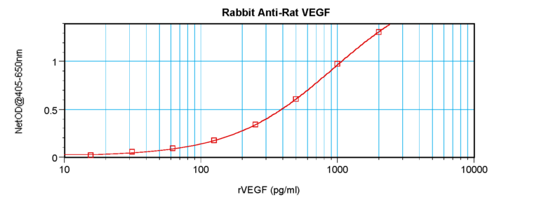 VEGF Antibody