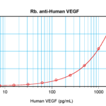 To detect hVEGF by sandwich ELISA (using 100 ul/well antibody solution) a concentration of 0.5 - 2.0 ug/ml of this antibody is required. This antigen affinity purified antibody, in conjunction with ProSci’s Biotinylated Anti-Human VEGF (XP-5291Bt) as a detection antibody, allows the detection of at least 0.2 - 0.4 ng/well of recombinant hVEGF.