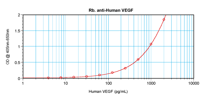 VEGF Antibody