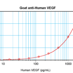To detect hVEGF by sandwich ELISA (using 100 ul/well antibody solution) a concentration of 0.5 - 2.0 ug/ml of this antibody is required. This antigen affinity purified antibody, in conjunction with ProSci’s Biotinylated Anti-Human VEGF (XP-5292Bt) as a detection antibody, allows the detection of at least 0.2 - 0.4 ng/well of recombinant hVEGF.