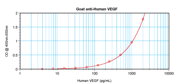 VEGF Antibody