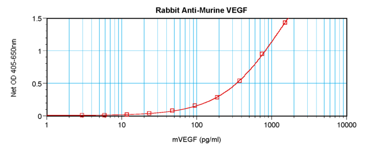 VEGF Antibody