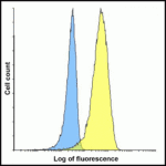 Flow cytometry analysis of VISTA overexpressing HEK293 cells using VISTA antibody and control mouse IgG antibody at 10 μg/ml. Blue: Untransfected HEK293 cells. Yellow: VISTA overexpressing HEK293 cells.