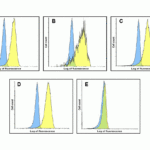 Flow cytometry analysis of VISTA over expressing HEK293 cells using (A) RF16071, (B) RF16072, (C) RF16073, (D) RF16074, and (E) control mouse IgG antibody at 10 μg/ml.  Blue:  untransfected HEK293 cells.  Yellow: VISTA over expressing HEK293 cells.