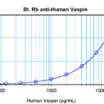 To detect hVaspin by sandwich ELISA (using 100 ul/well antibody solution) a concentration of 0.25 – 1.0 ug/ml of this antibody is required. This biotinylated polyclonal antibody, in conjunction with ProSci’s Polyclonal Anti-Human Vaspin (38-183) as a capture antibody, allows the detection of at least 0.2 – 0.4 ng/well of recombinant hVaspin.