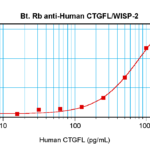 To detect hCTGFL/WISP-2 by sandwich ELISA (using 100 ul/well antibody solution) a concentration of 0.25 – 1.0 ug/ml of this antibody is required. This biotinylated polyclonal antibody, in conjunction with ProSci’s Polyclonal Anti-Human CTGFL/WISP-2 (38-143) as a capture antibody, allows the detection of at least 0.2 – 0.4 ng/well of recombinant hCTGFL/WISP-2.