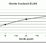 Ghrelin antibody (Cat. No. XG-6133) in Sandwich ELISA for analysis of active ghrelin. The antibody was coated on ELISA plate. Various concentrations of active ghrelin were incubated and detected with Ghrelin antibody (Cat. No. XG-6133) at a 1:1000 dilution.