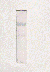 Active Ghrelin Antibody