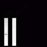 Western blot of human T47D cells showing phospho-specific immunolabeling of the ~42k-44k ERK/MAPK protein doublet.